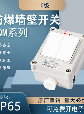 防爆墙壁开关 BQM系列空气开关双联三联220V 10A86型多联翘板开关