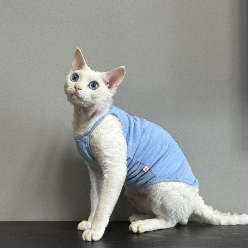 夏季纯棉华夫格猫咪空调服轻柔护