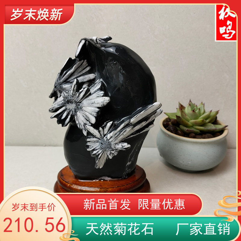 菊花石摆件价格 菊花石摆件图片 星期三