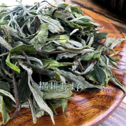 福鼎产区明前白牡丹21年晒制转化较好花果香推荐重500克量多价优