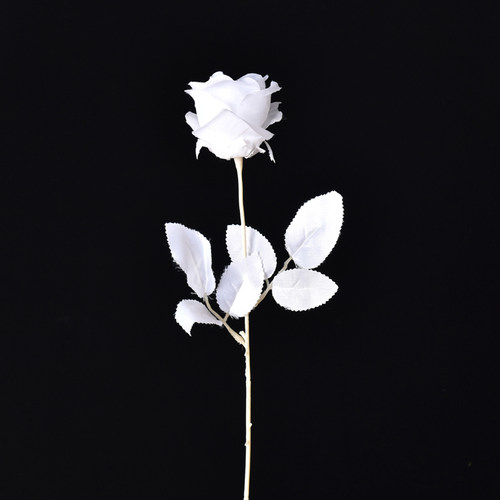 仿真白色玫瑰花手持拍照汉服