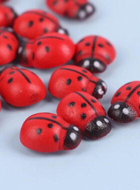 30个/包25mm红色七星小瓢虫DIY配件微景观摆件木质工艺品甲壳虫