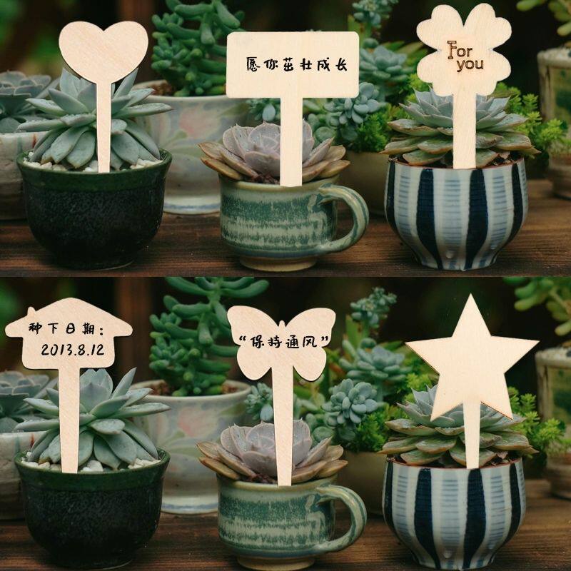 木制标签牌插牌多肉植物插地牌园艺花卉小插牌生日蛋糕插件diy