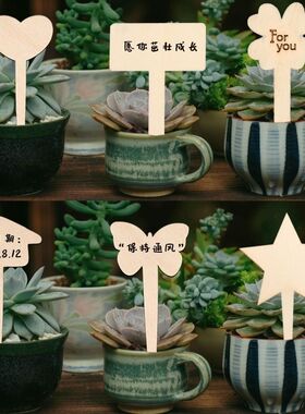 木制标签牌插牌多肉植物插地牌园艺花卉小插牌生日蛋糕插件diy