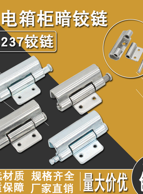 CL257不锈钢动力柜控制248箱配电箱CL237配电柜合页内置暗装铰链