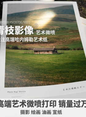 定制哈内姆勒摄影作品照片冲印艺术微喷照片打印青枝影像装裱图片