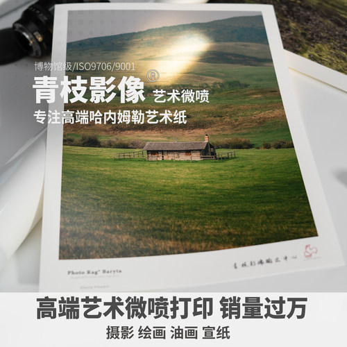 冲印照片打印艺术微喷青枝图片