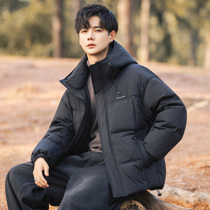 2026冬男微宽松连帽新标50白鸭绒羽绒服A230-25806-P228(控328)，男装羽绒服，电商A230