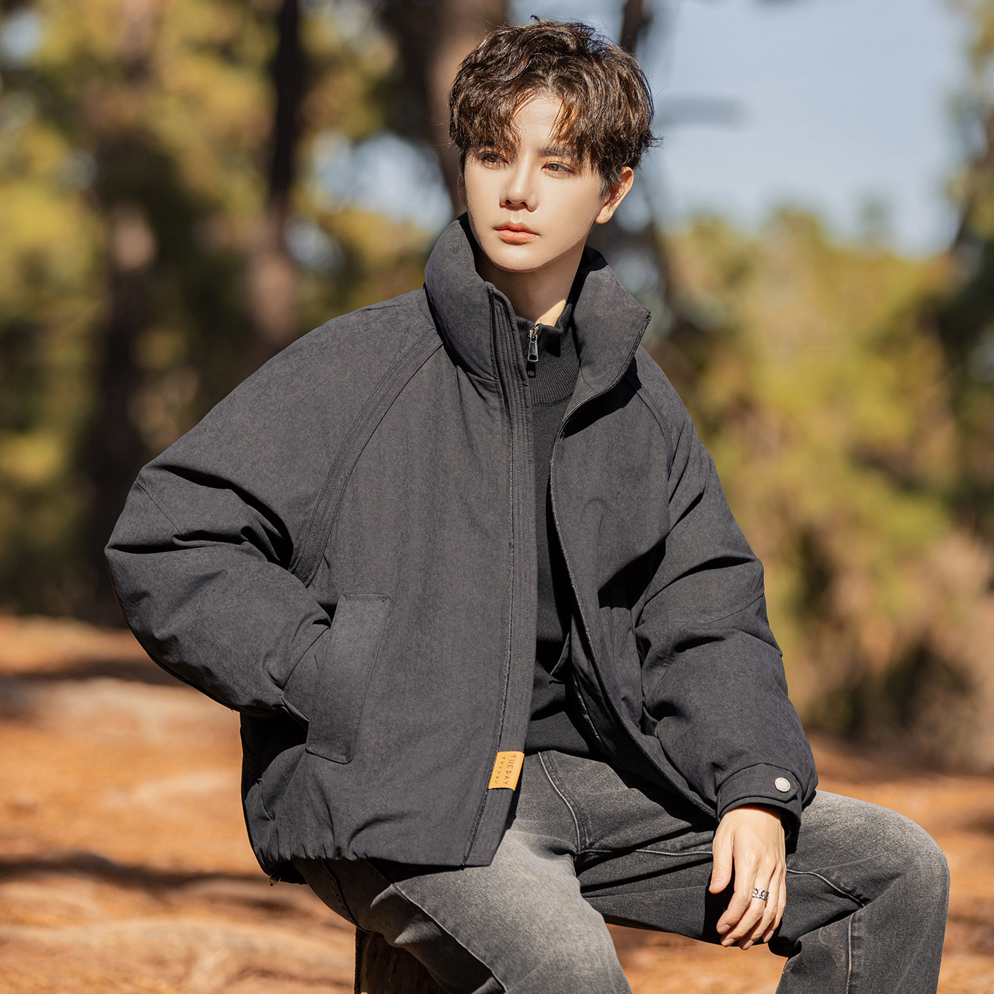 2025冬季男年货款立领新标90棉布羽绒服A230-8020-P249(控349)，男装羽绒服，电商A230