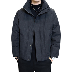 2025年冬男微宽松立领压花标50羽绒服A230-6612-P205（控299）图片