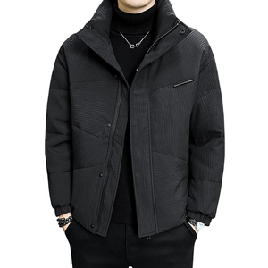 2025冬季男款微宽松立领3D立体面料羽绒服A230-6853-P195(控285）图片