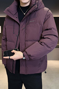2025冬男微宽松连帽新标50白鸭绒羽绒服A230-25806-P228(控328)图片