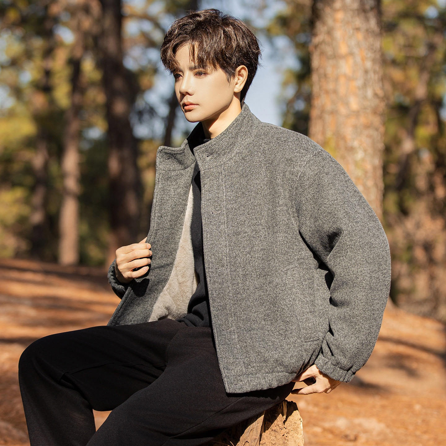 2025年年货款立领纽扣加绒毛呢外套A230-1088-P208(控308），女装短外套，电商A230