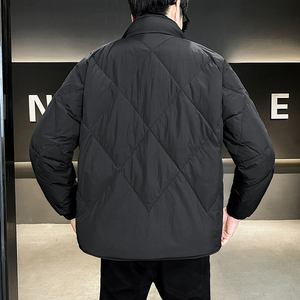 2025冬男微宽松假两件立领标90羽绒服A230-991-P348(控488)图片
