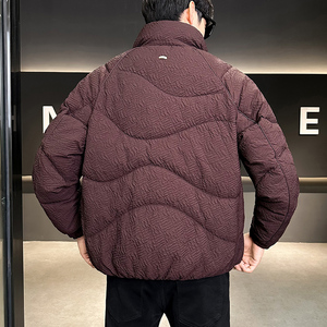 2025冬男款立领裁剪立体面料标90羽绒服A230-2388-P380(控480)图片