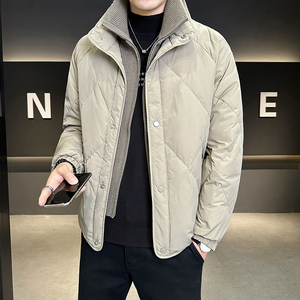 2025冬男微宽松假两件立领标90羽绒服A230-991-P348(控488)图片