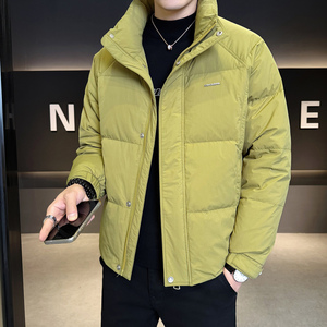 2025冬男修身立领小标标50%白鸭绒羽绒服A230-7900-P195(控299)，男装羽绒服，电商A230