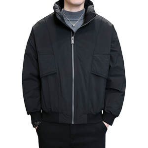 2025年冬男微宽松立领标90工装式羽绒服A230-95710-P220(控320)图片