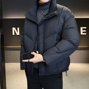 2025冬男微宽松立领标90泡芙穿刺羽绒服A230-2577-P299(控399)图片