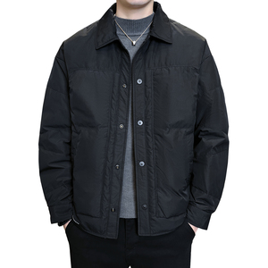 2025冬男修身方领标90白鸭绒轻薄羽绒服A230-28803-P195(控280)图片