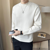 2025秋冬男装款新针法纯色半高领保暖打底衫A230-3001-P58(控85)，男装T恤，电商A230