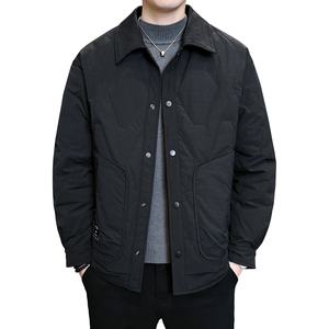 2025冬男修身新标50%白鸭绒轻薄羽绒服A230-6665-P165（控238）图片