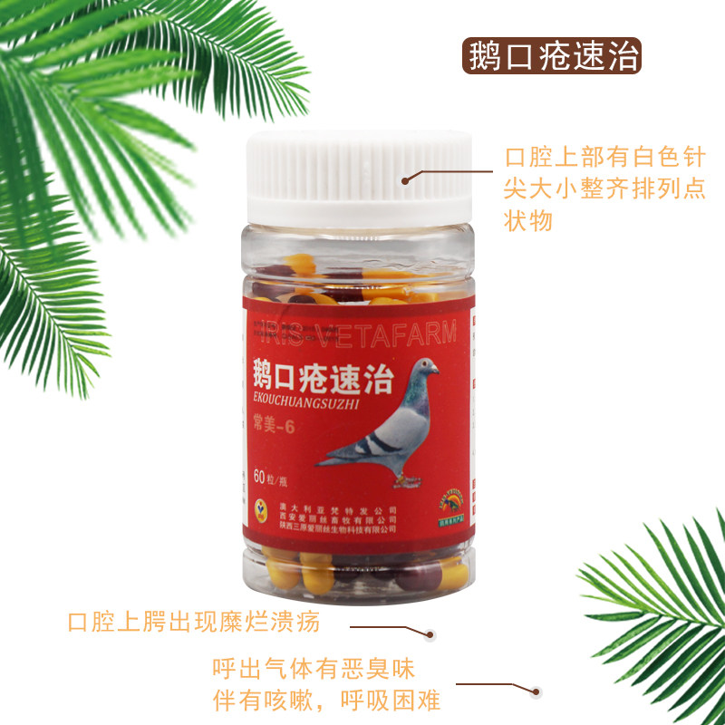 爱丽丝鸽药鹅口疮鸽子药口腔白点口黄口臭粘性唾液60粒