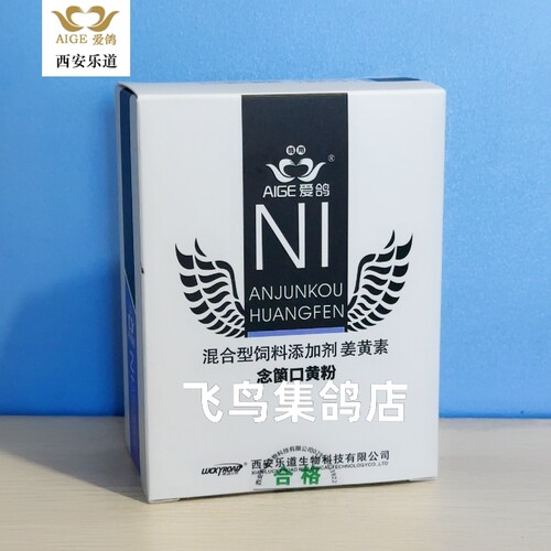 乐道爱鸽念菌口黄粉信赛鸽子
