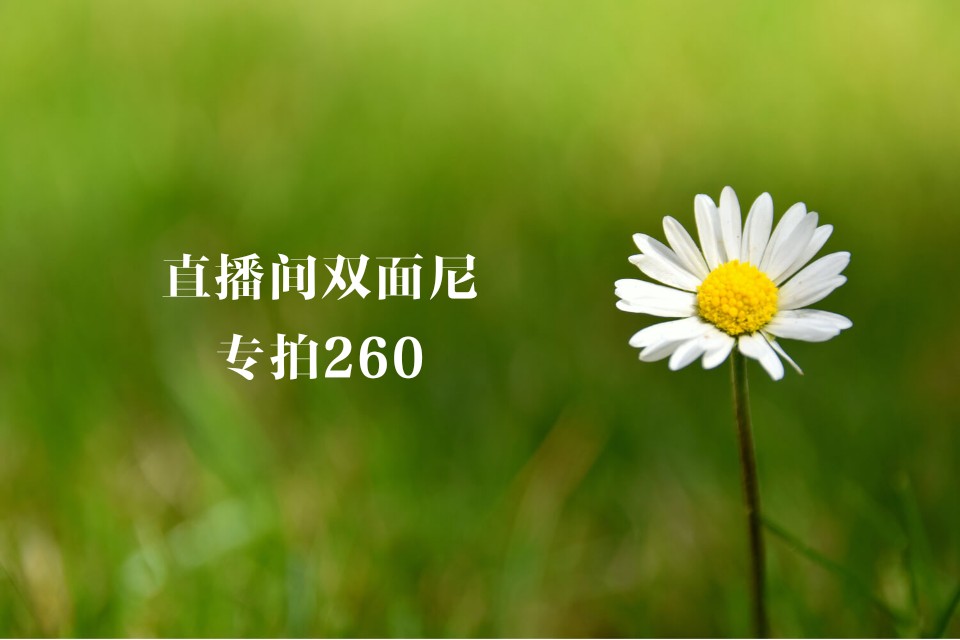 直播间女装专拍链接