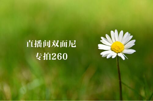直播间女装专拍链接