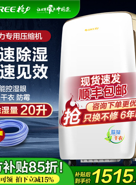 格力除湿机抽湿机家用静音除湿器室内空气干燥吸湿器大功率DH20EH
