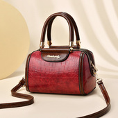 包包女2024新款 潮女纹单肩手提女包欧美风范小号女包质优耐磨
