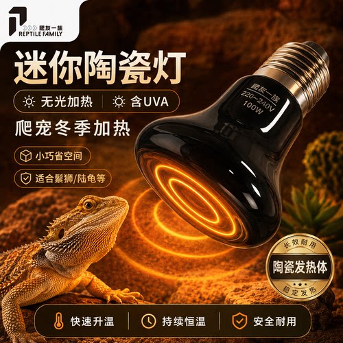 爬虫宠迷你陶瓷加热灯陆龟蜥蜴UVA加保温灯加热器夜灯守宫饲养箱