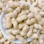 带壳生花生粉皮白沙河南2025年新花生原味农家新鲜晒干干花生