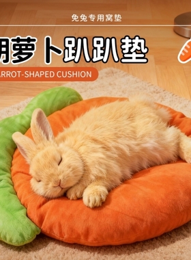 兔子趴趴垫睡觉专用宠物垫子仓鼠荷兰猪蜜袋鼯四季通用窝垫兔子窝