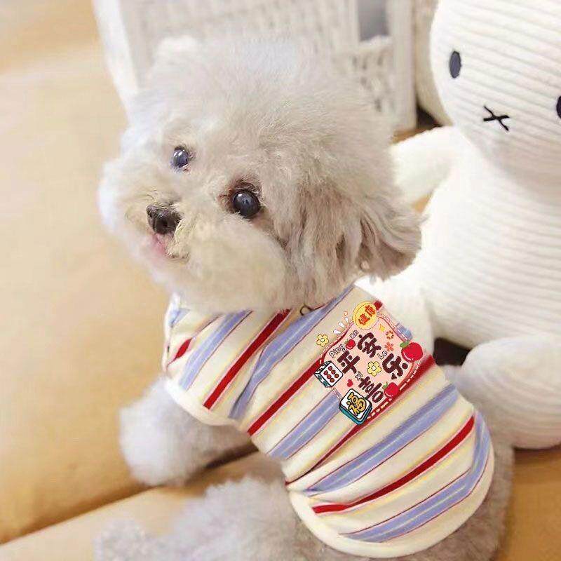宠物猫咪比熊小型犬泰迪狗狗衣服秋冬装春夏装薄款背心多彩条纹熊