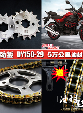 大阳DY150-38枭勇油封链条链盘套装大运150-29劲錾套链大小飞链轮