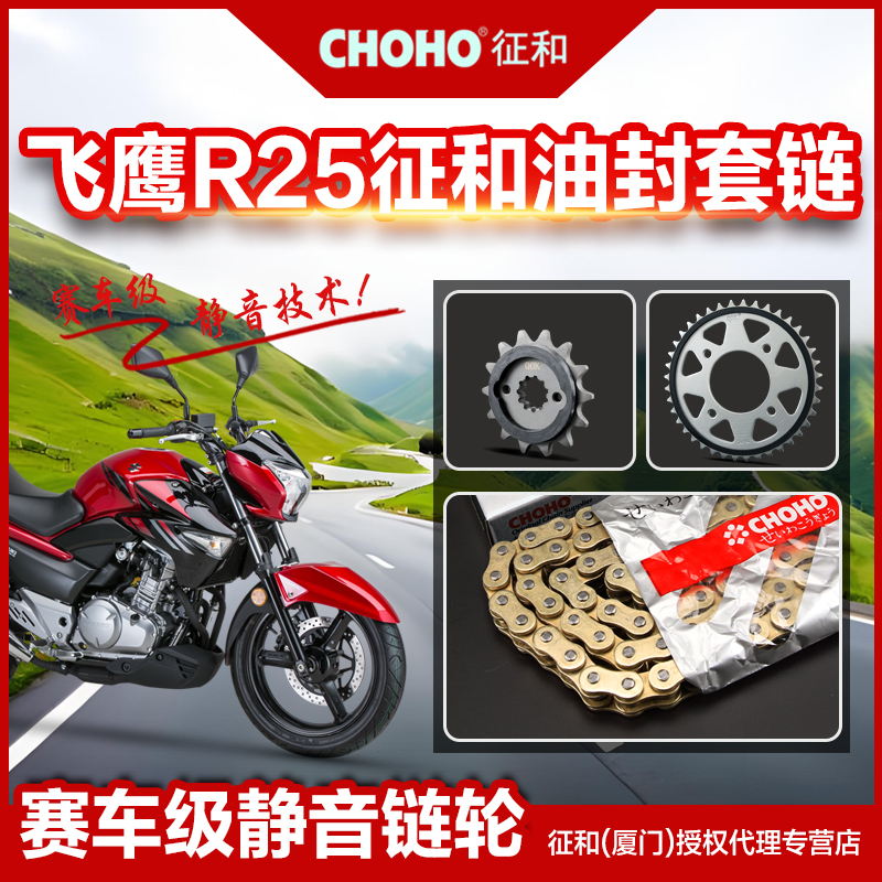 适用于飞鹰摩托车R25 YF250G 静音链盘齿轮链轮征和正品油封链条