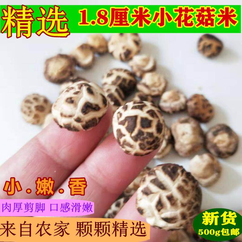 精选小花菇米珍珠菇野生迷你菇剪脚蘑菇冬菇农家特产干货500g包邮