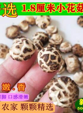 精选小花菇米珍珠菇野生迷你菇剪脚蘑菇冬菇农家特产干货500g包邮