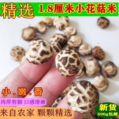 精选小花菇米珍珠菇野生迷你菇剪脚蘑菇冬菇农家特产干货500g包邮