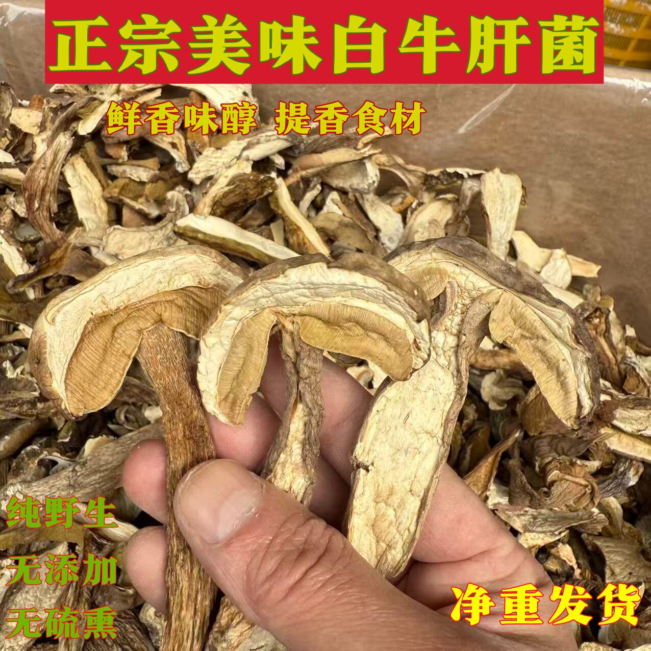 云南纯野生美味白牛肝菌干货火锅食材煲汤黄白美味牛肝菌香菇类特