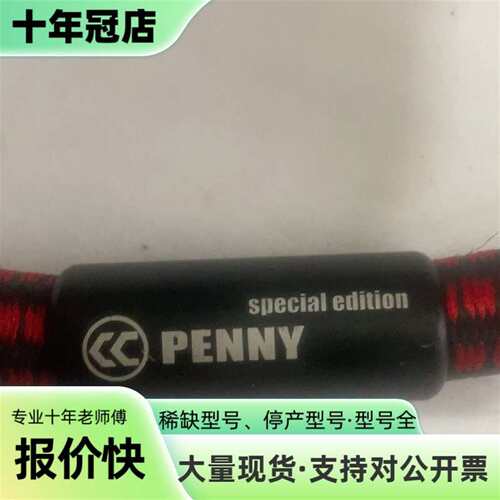 议价Copper Colour/铜彩 Penny 芬尼 SE动可维修翻新