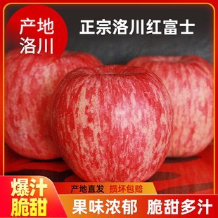 新鲜正宗陕西洛川苹果当季水果红富士苹果孕妇脆甜当地冰糖心