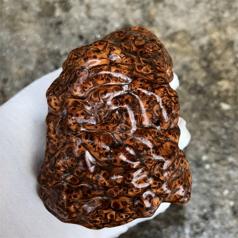 MU LANJUN의 절묘한 TAIHANG THUJA 노송 나무 흑금 흉터 가득 손잡이 조각 오래된 재료 통나무 모양의 나무 조각