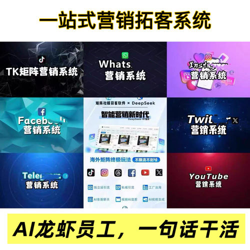外贸客户开发ig引流FB营销工具精准采集WS裙发海外TK矩阵拓客软件