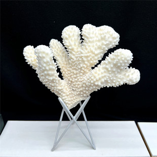 天然白珊瑚花海菊花海蘑菇贝壳鱼缸造景道具装饰品树形摆件13号