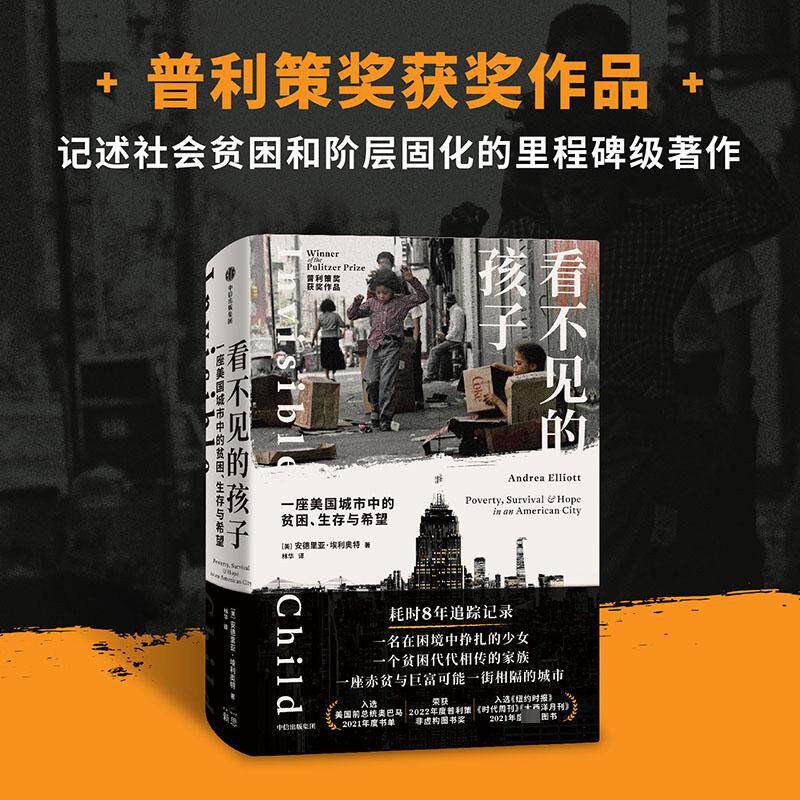 合作文学理论（文）看不见的孩子 一座美国城市中的贫困、生存与高性价比高么？