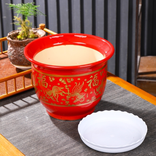 红色花盆40cm口径铁树专用大型种树矮胖天堂鸟大码客厅落地式