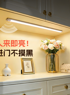 灯带自粘无线免插电玄关鞋柜进门感应灯床边起夜充电led磁吸灯条